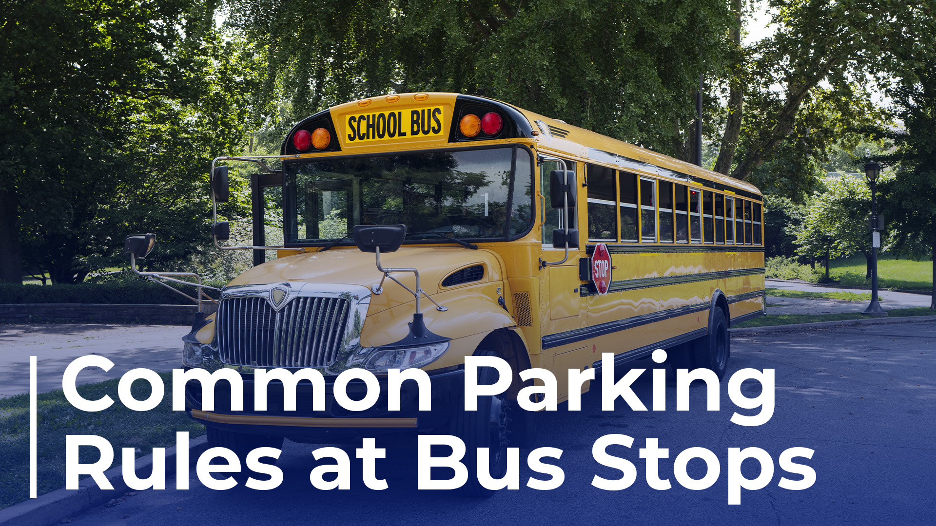 a school bus text reads common parking rules at bus stops